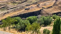 Noah's Ark
